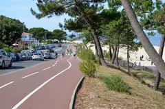 Cyklisté na cyklostezce mezi borovicemi nad pláží u Arcachonu