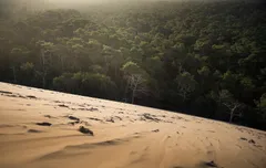 Duna Pilat v ranním světle nad borovicovým lesem